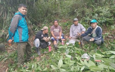 Hidup Jadi Lebih Baik Karena Gunung Slamet: Ini Buktinya!