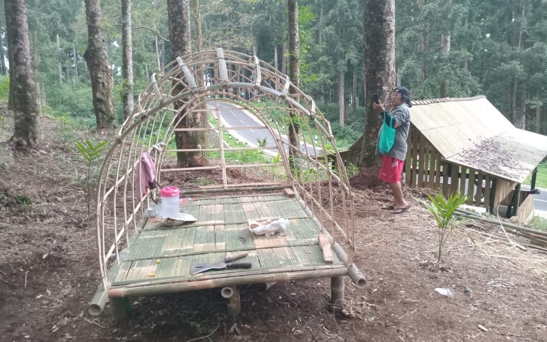 LPHD Wana Karya Lestari Kembangkan Potensi Wisata Hutan dengan Camping Forest