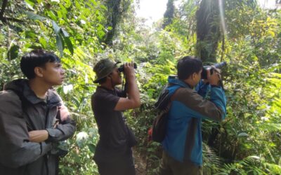LPHD Kemutug Lor Temukan Populasi Elang Jawa di Jalur Pendakian Baturraden