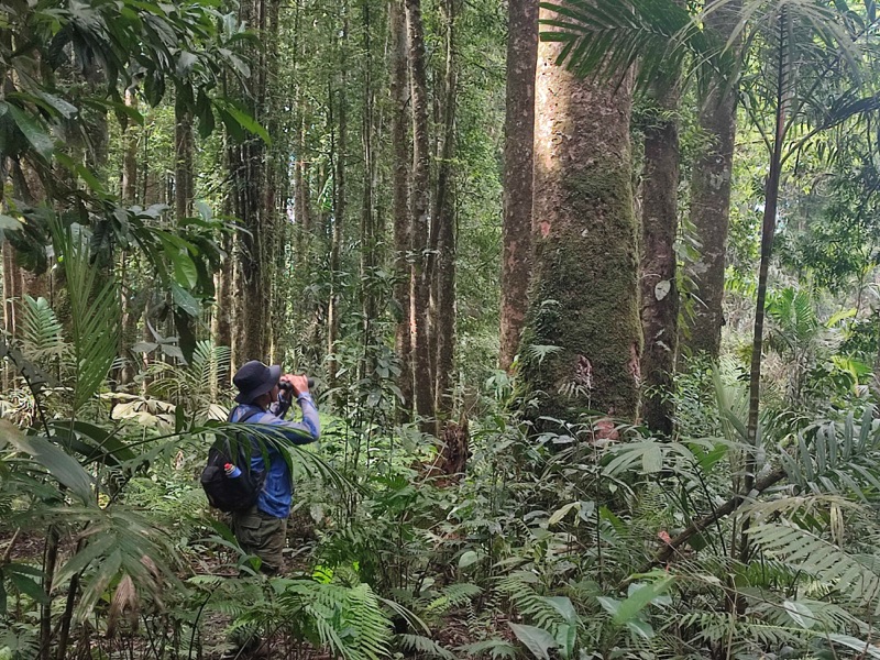 Tim Patroli LPHD Wana Karya Lestari Temukan Bekas Perangkap Burung di Hutan Desa